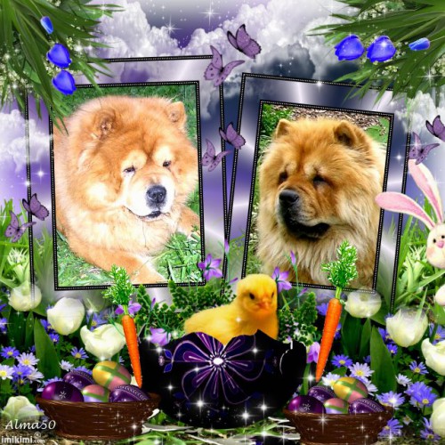happy-easter-2012-----bgum-11c---normal.jpg